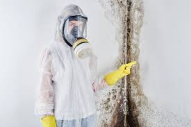 Best Biohazard Mold Removal  in Hasley Nyon, CA